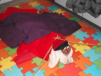 Ampliar la fotografia